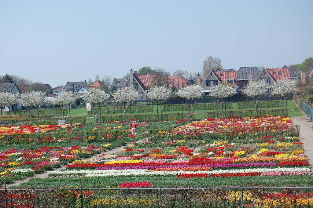 B&B Limmerzand Limmen Zewnętrze zdjęcie